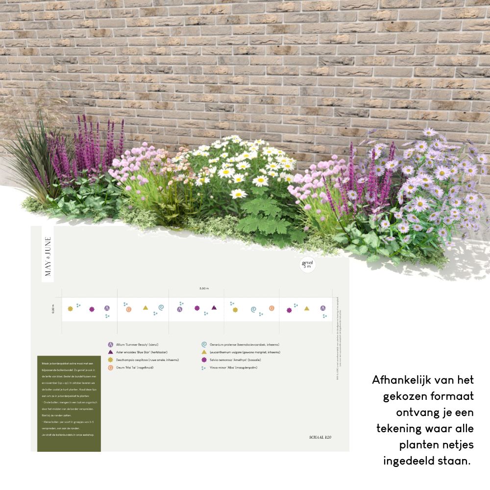 Geveltuin SPRINGFIELD voor halfschaduw en volle zon