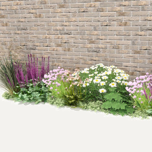 Geveltuin SPRINGFIELD voor halfschaduw en volle zon