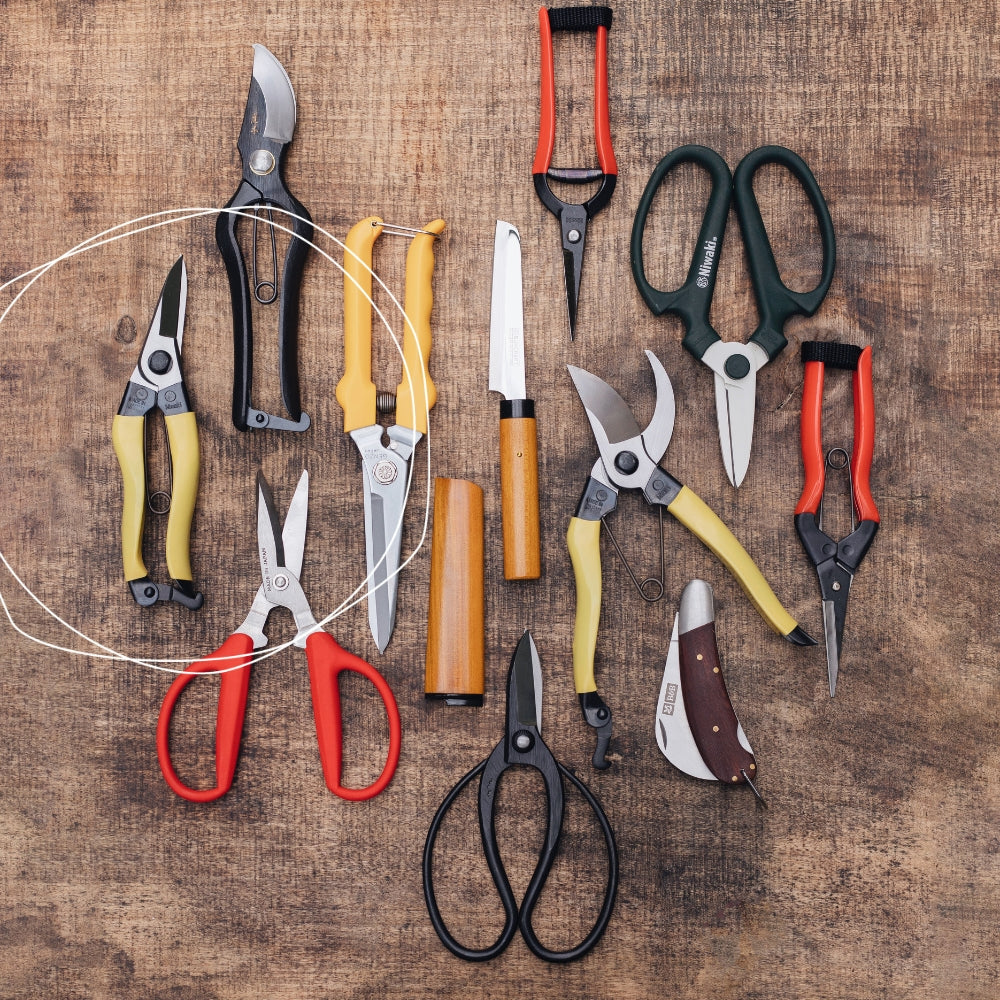 Niwaki mainichi lichtgewicht snoeischaar