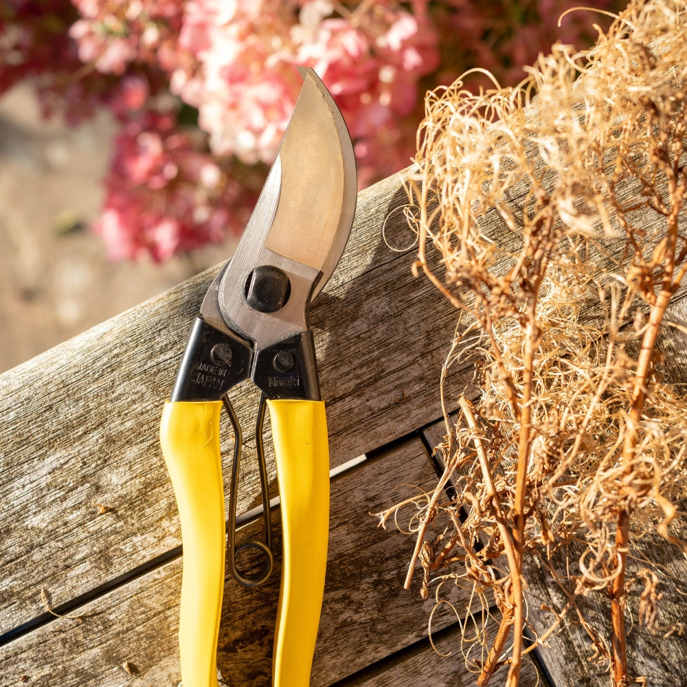 Niwaki mainichi snoeischaar