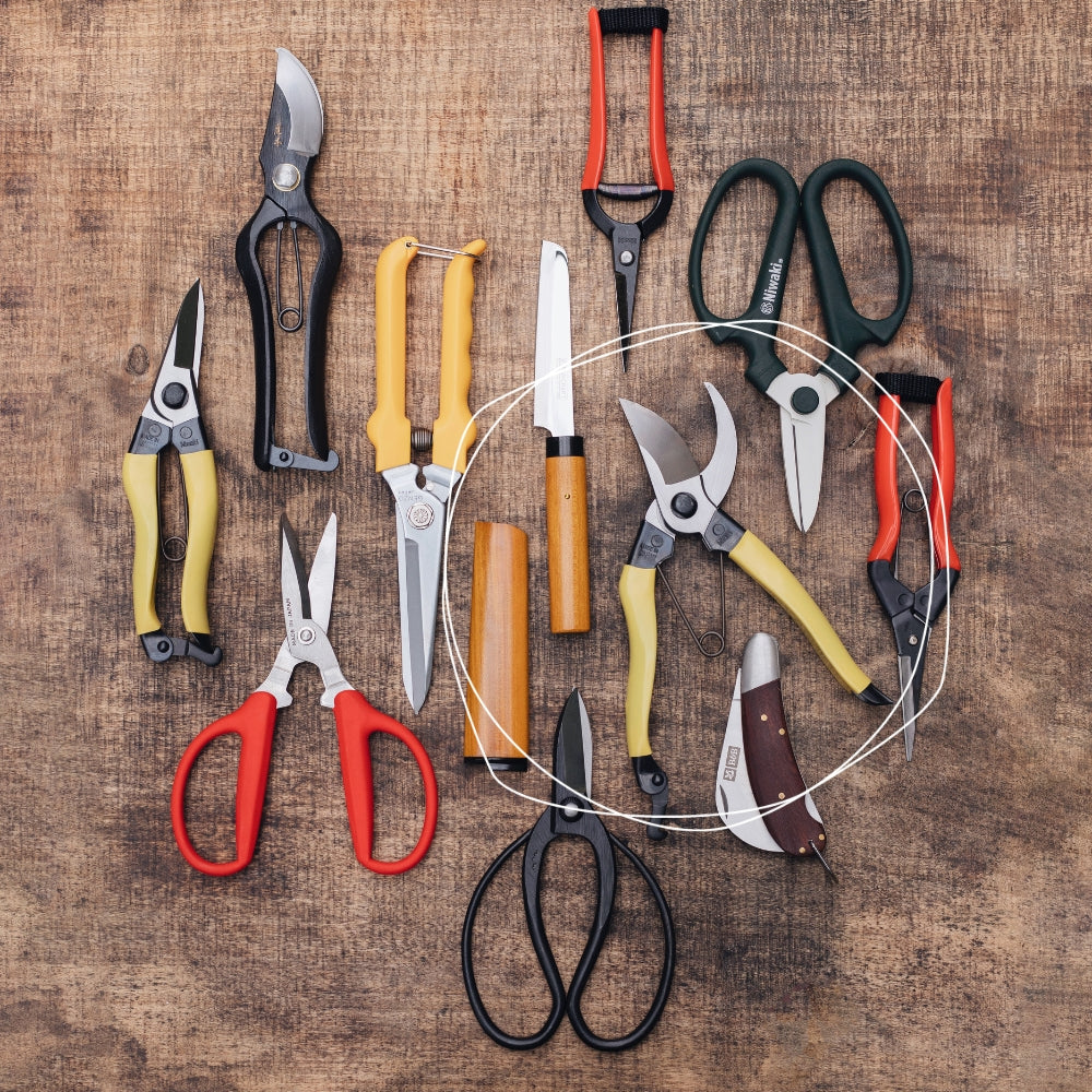 Niwaki mainichi snoeischaar