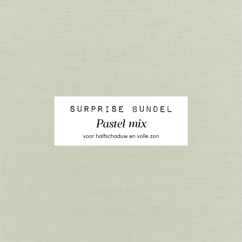 Verrassingsbundel - Pastel mix