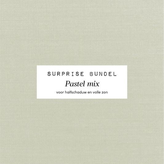 Verrassingsbundel - Pastel mix
