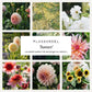 Plukbundel 'Sunset' - Compleet boeket met eenjarigen en dahlia's
