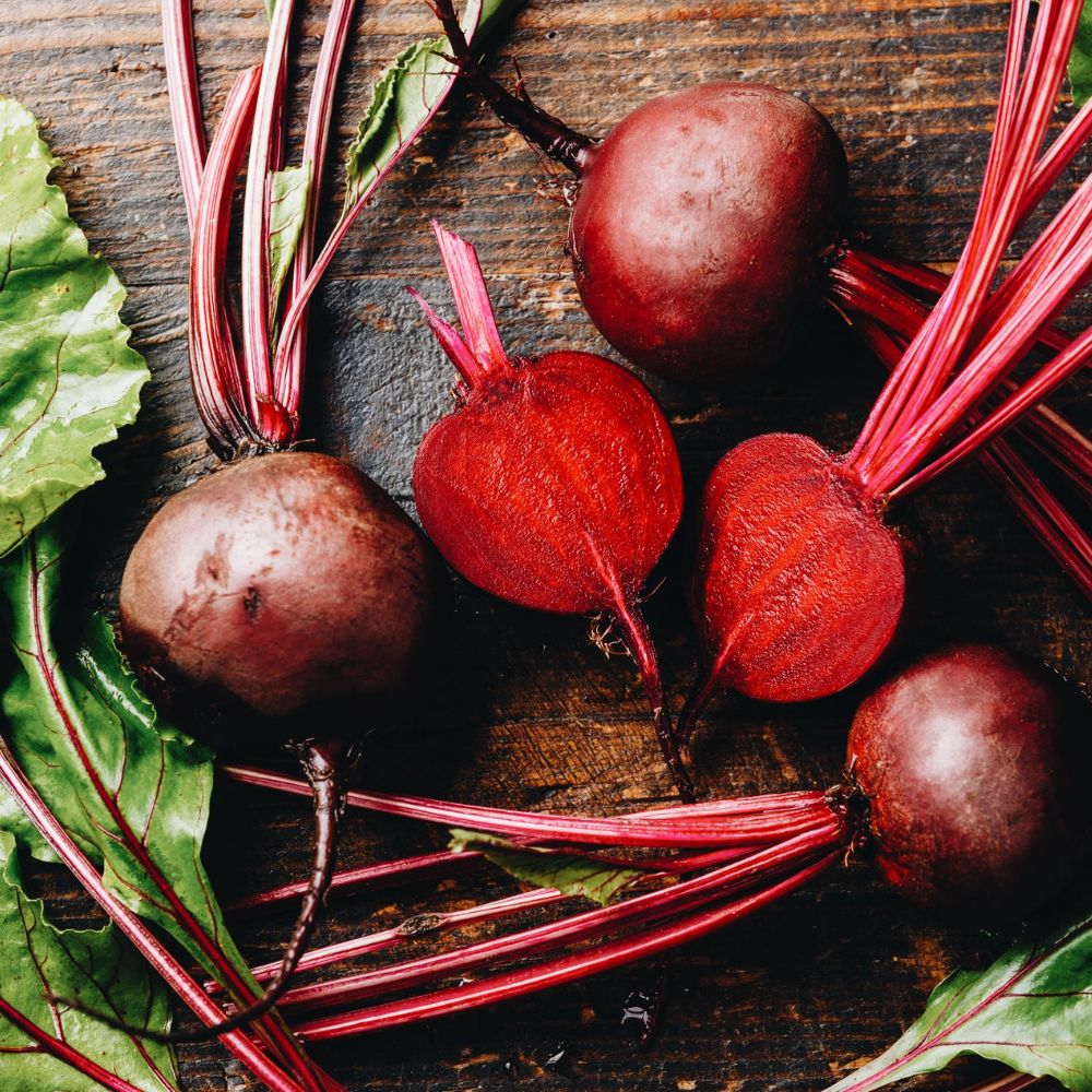 Rode biet 'Kogel 2' BIO