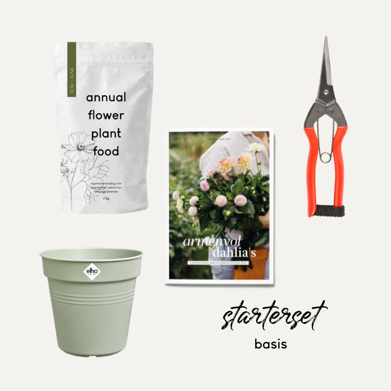 Starterset Dahlia's kweken
