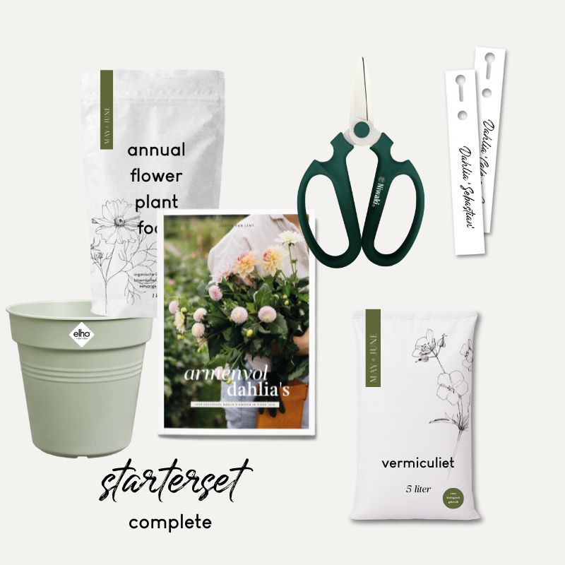 Starterset Dahlia's kweken