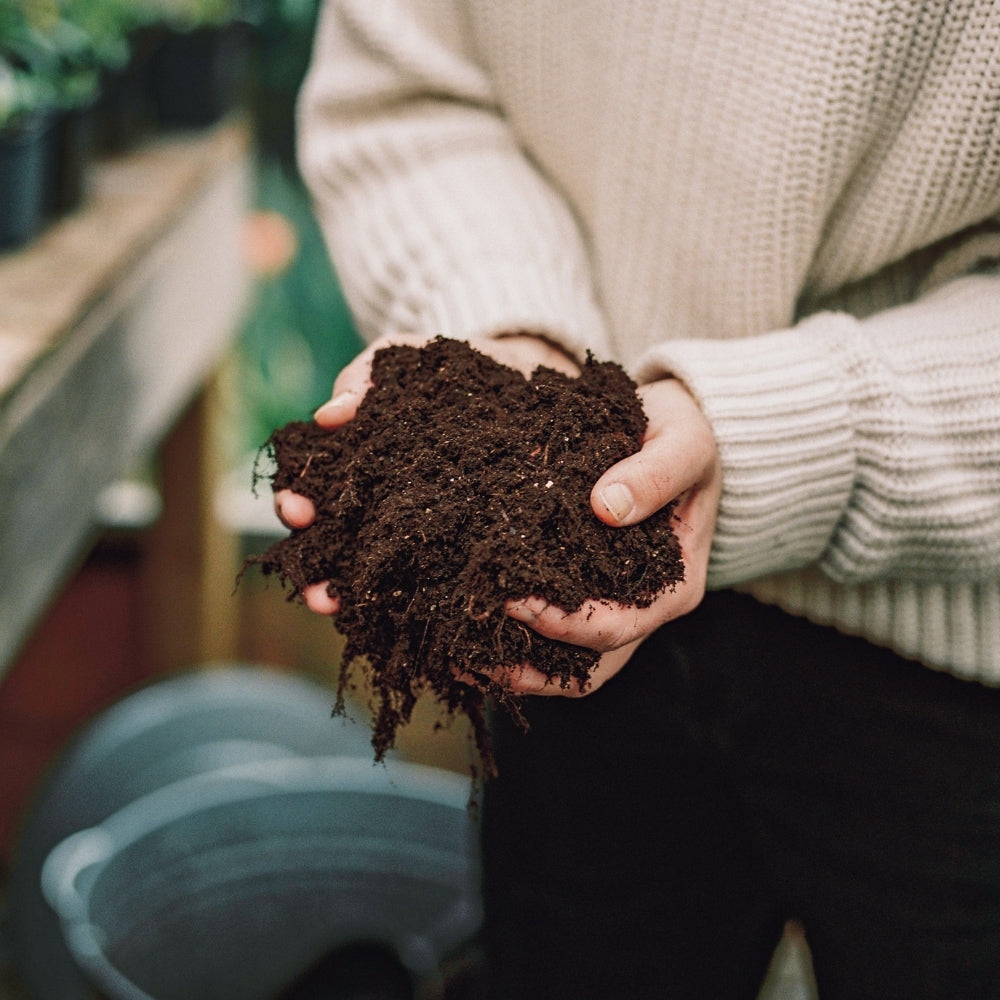 Pallet met turfvrije biologische potgrond (40 liter)