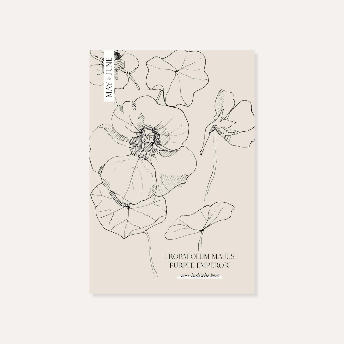 Tropaeolum majus ‘Purple Emperor’ (Oost-Indische kers)