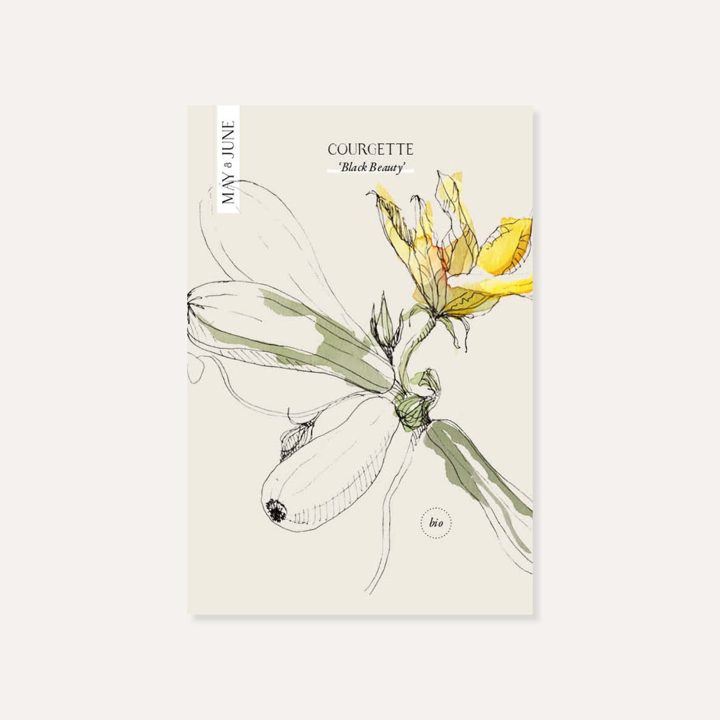 Courgette 'Black Beauty' BIO