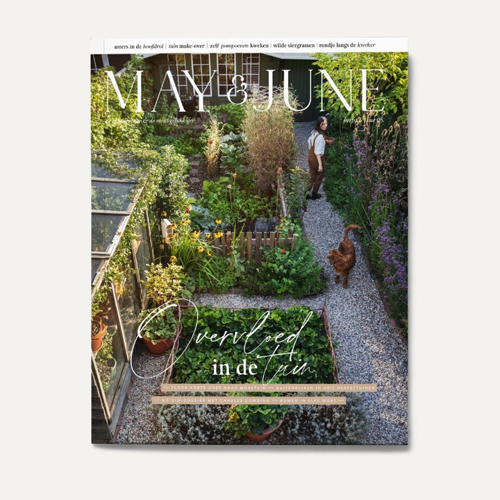 MAY & JUNE magazine | MAY & JUNE