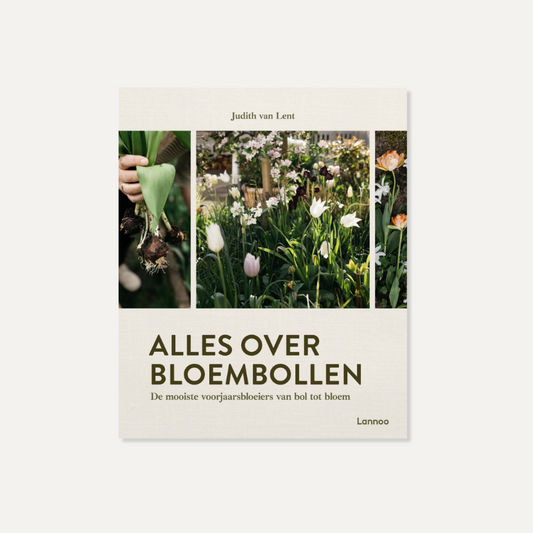 Alles over bloembollen (Uitgeverij Lannoo, 2025)