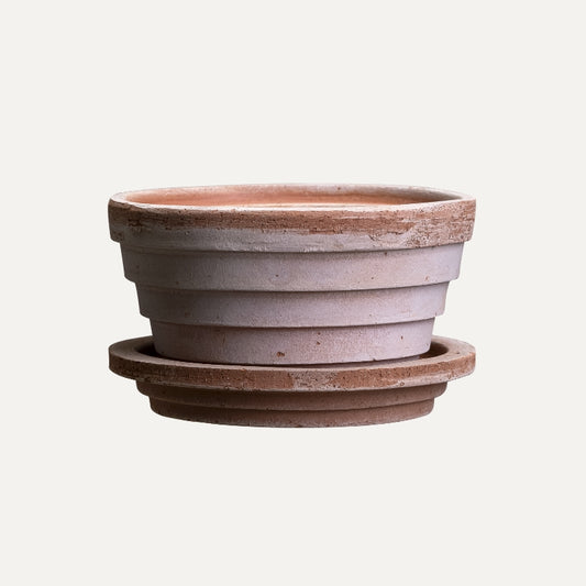 Planets terracotta pot / Rosa
