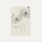 Centaurea cyanus ‘Ball Mix’ (korenbloem)