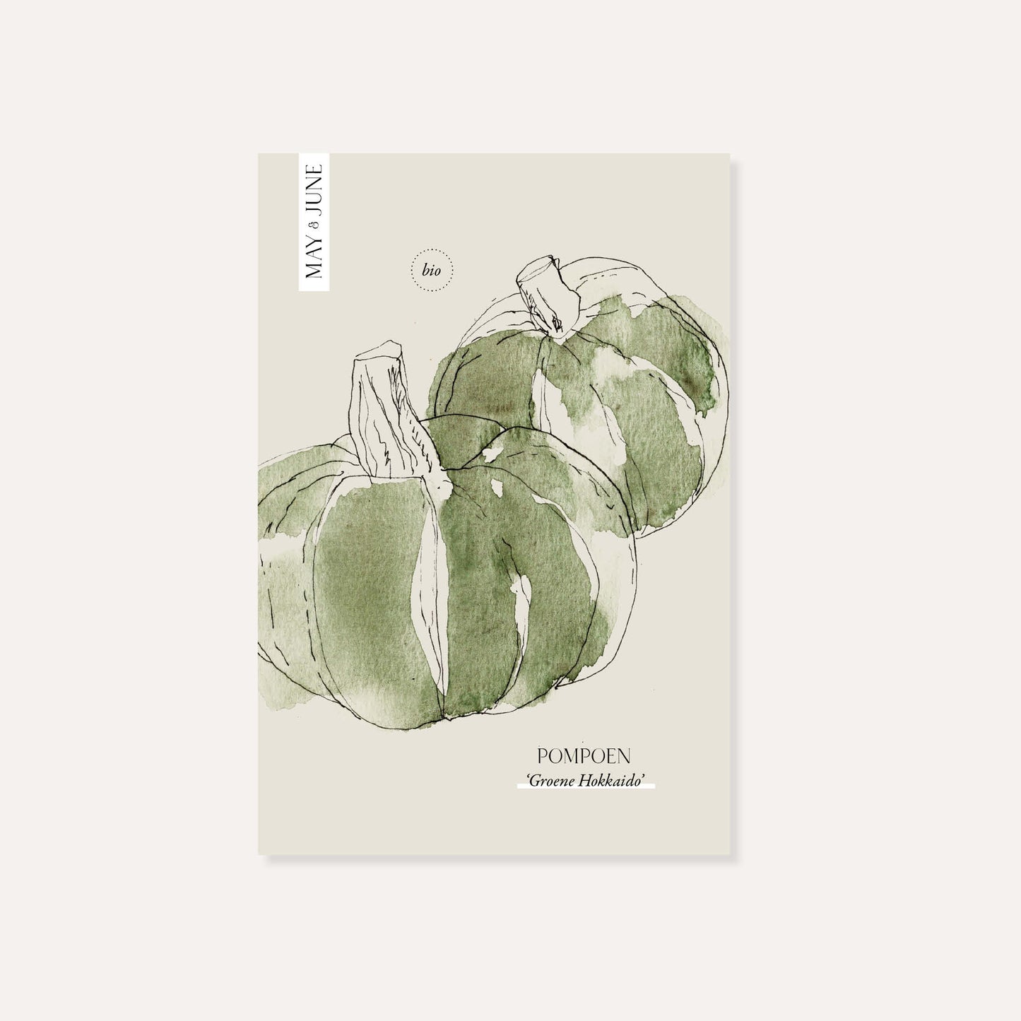 Pompoen 'Groene Hokkaido' BIO