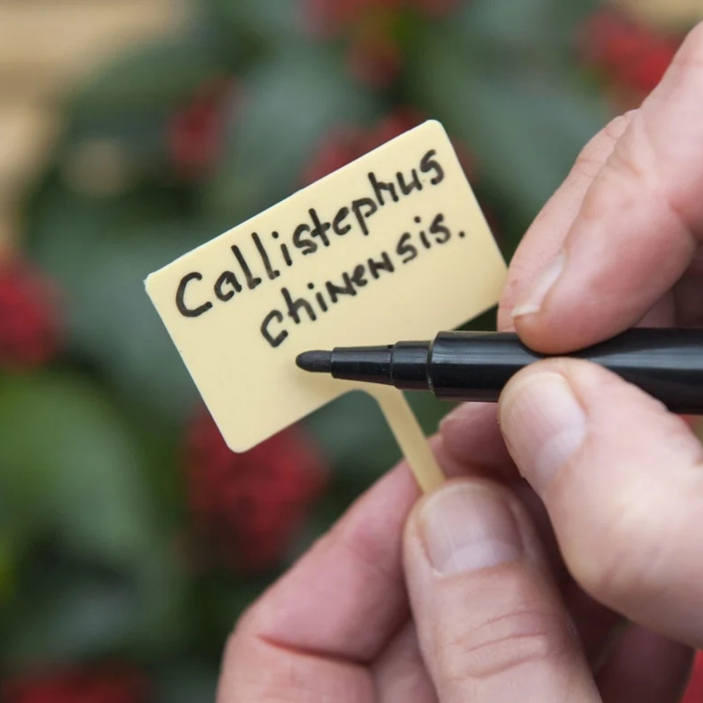 Watervaste tuinstiften (set van 2)