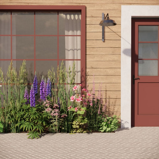 Geveltuin WIMBORNE voor volle zon