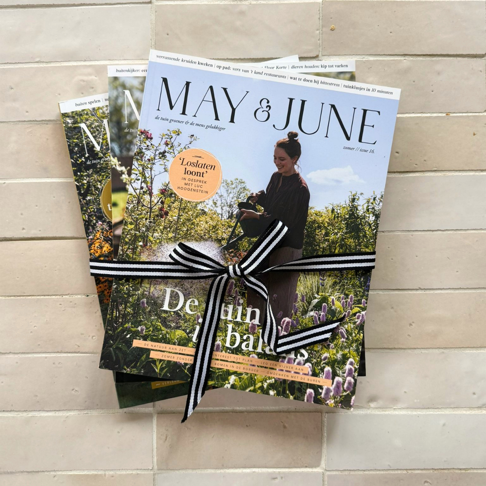 MAY & JUNE magazine leesbundel
