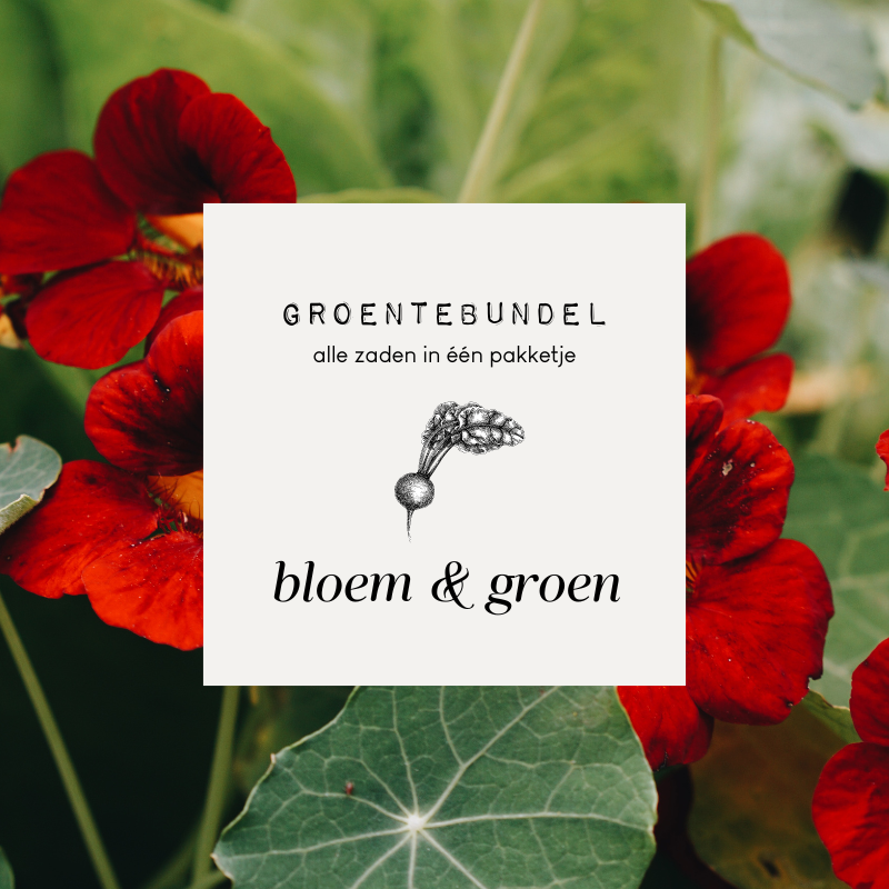 Groentebundel 'Bloem & Groen'
