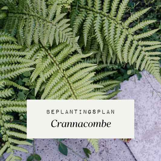 Beplantingsplan Crannacombe - Pastel in de schaduw