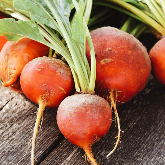 Gele biet 'Burpee's Golden'