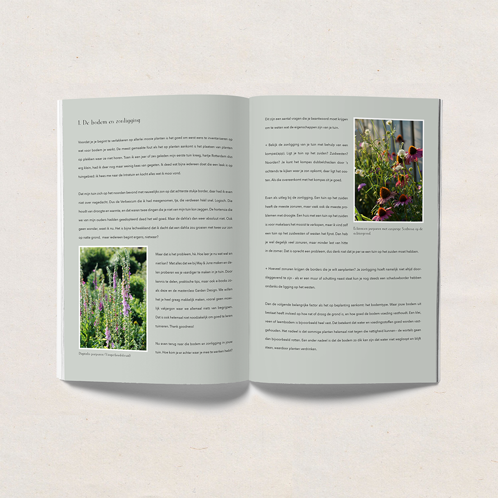 FAVE PLANTS e-book