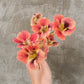 Tropaeolum minus ‘Ladybird Rose’ (Oost-Indische kers)