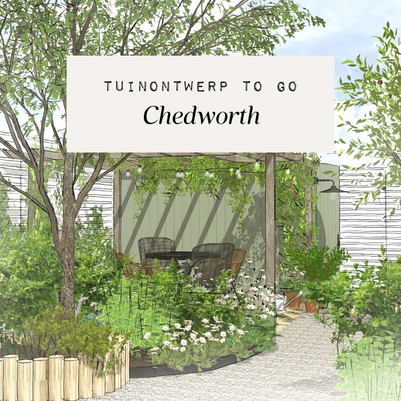 Tuinontwerp Chedworth - Kleine groene tuin