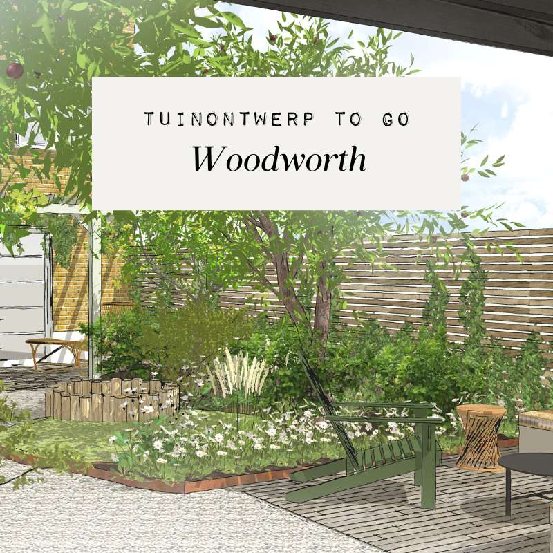 Tuinontwerp Woodworth - Landelijke gezinstuin met gras
