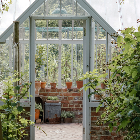 7x why you really need a greenhouse in the garden