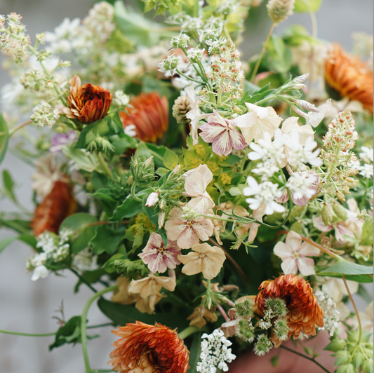 Ready-made flower bundles for a perfect picking bouquet