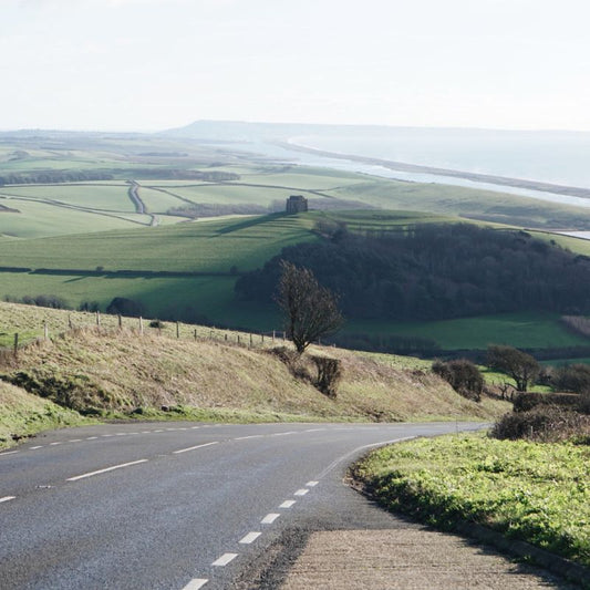 Gardens to visit in England: Dorset