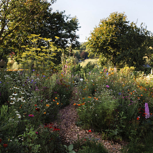 Outside view: on a garden visit to Pascale in Limburg