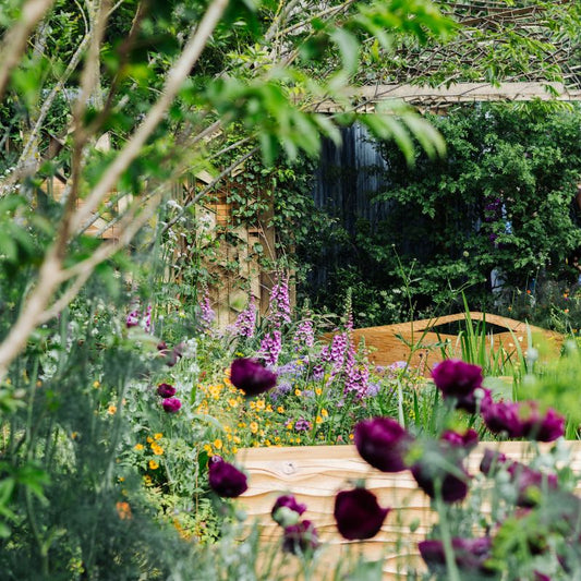 5x Garden trends at the 2024 RHS Chelsea Flower Show