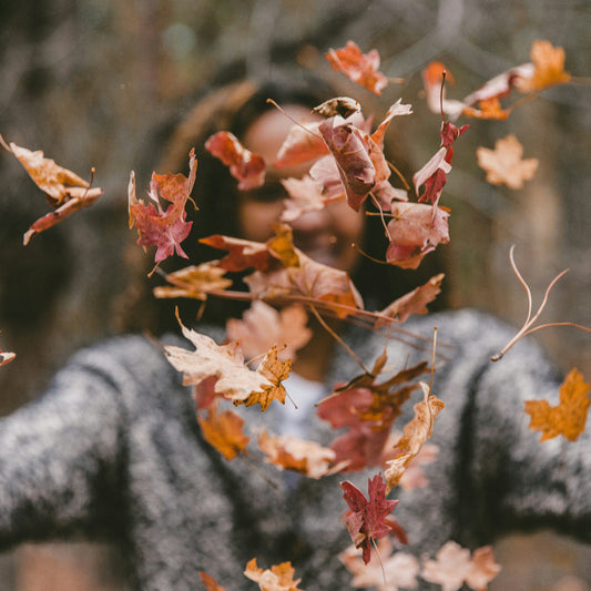 Garden chores in October