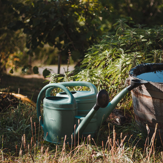 Starting a vegetable garden? Kitchen garden advisor Lidion helps you get started.