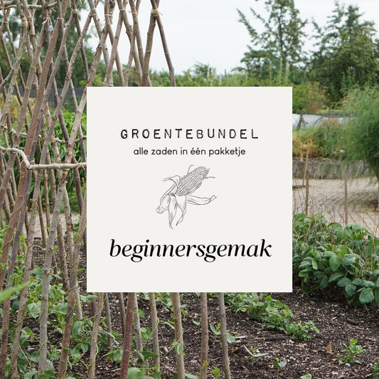 Vegetable bundle 'Beginner's ease'