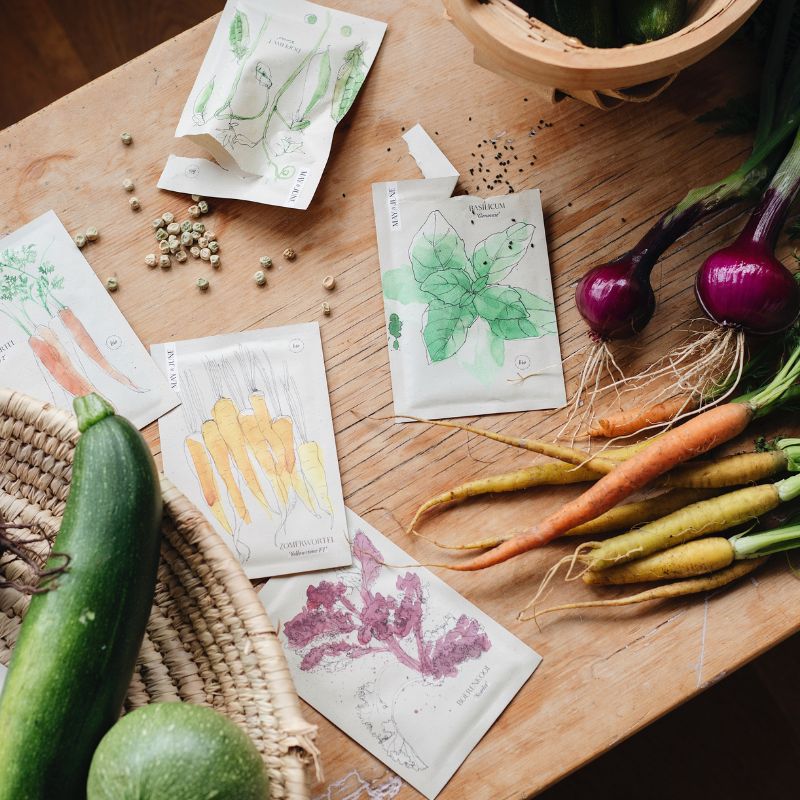 Starter Kit Kitchen Garden for Beginners