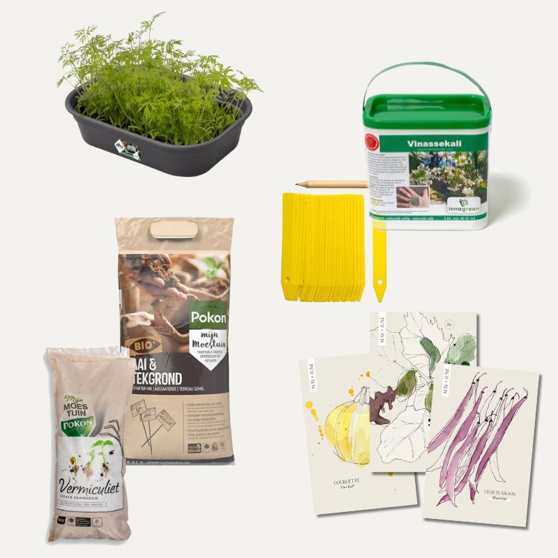 Starter Kit Kitchen Garden for Beginners