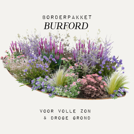 Border package BURFORD for full sun