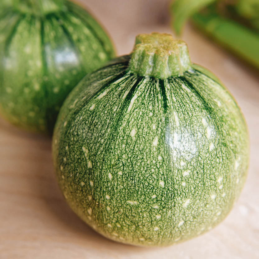 Zucchini 'Ola Redonda'