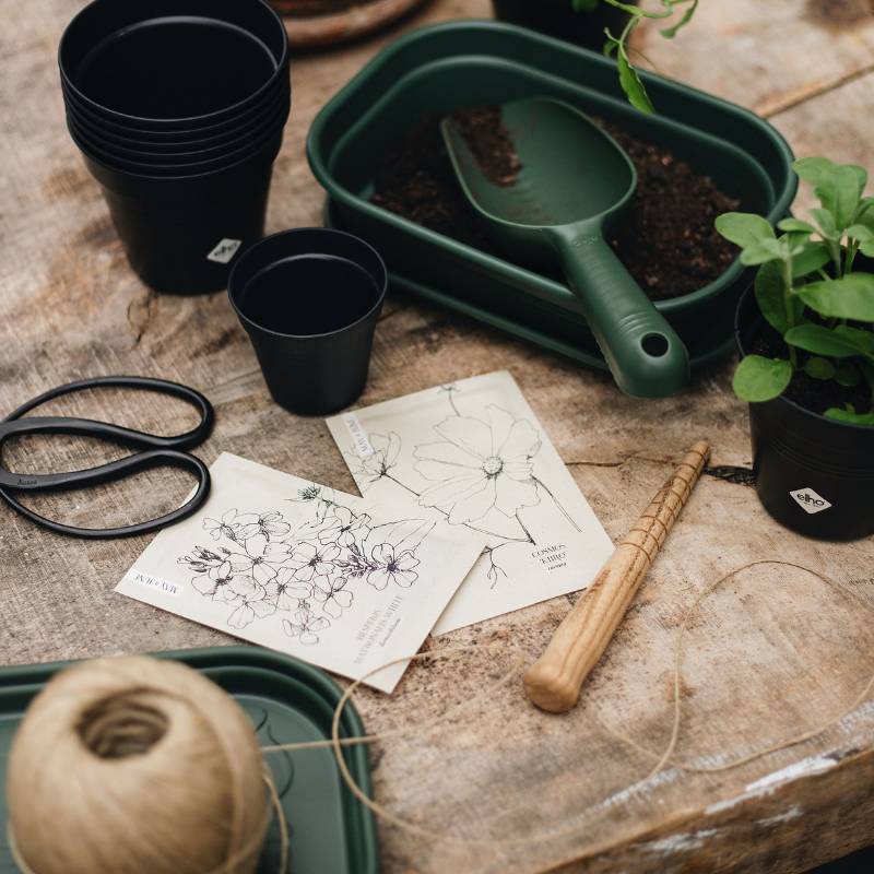 Seed tray small