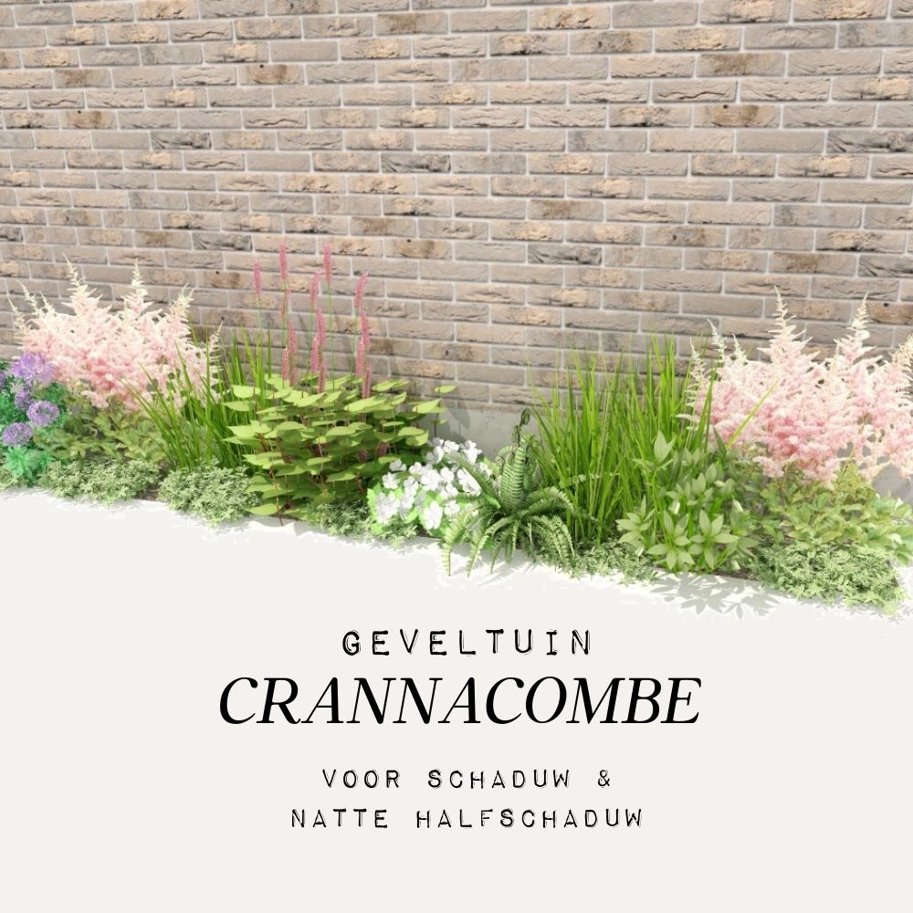 Facade garden CRANNACOMBE for (semi-)shade