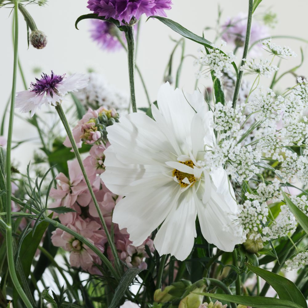 Flower Bundle 'Bright and Clear'