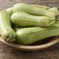 Zucchini 'Bianca di Trieste'