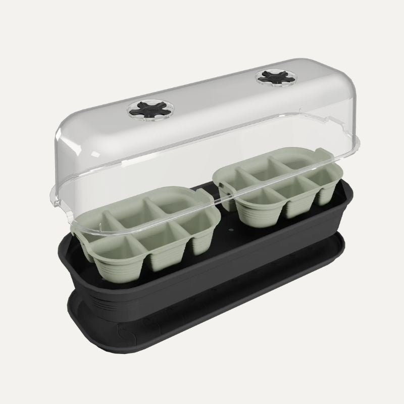 Box divider for seed tray