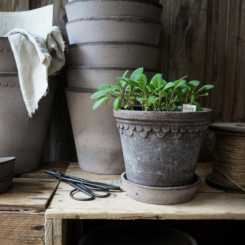 Copenhagen terracotta pot