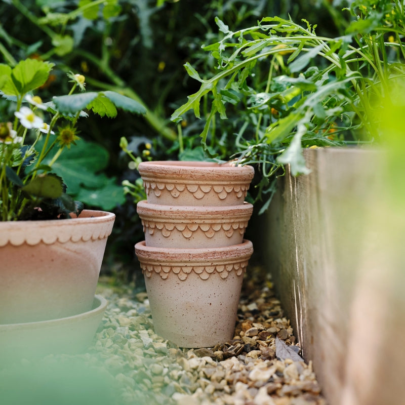 Copenhagen terracotta pot