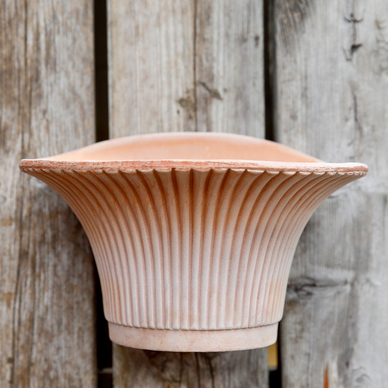 Daisy terracotta wall pot