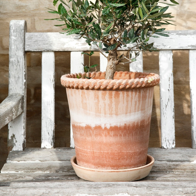 Emilia terracotta pot